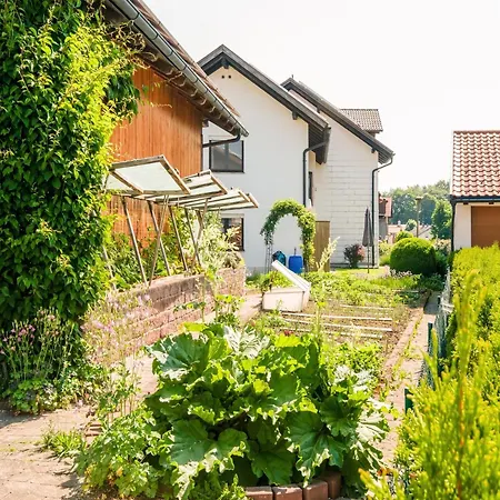 Apartment Flat In With Furnished Garden, Cleaning Included Wildsteig